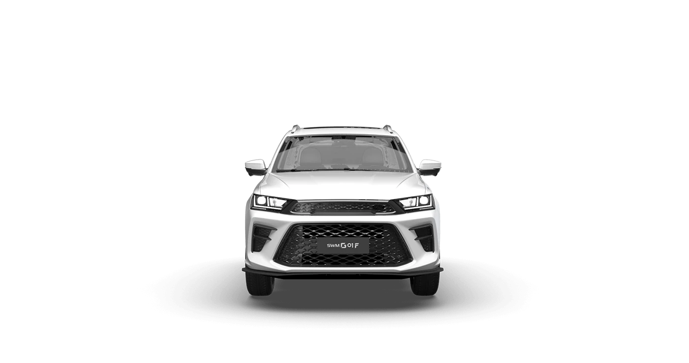 Обзор 360 SWM G01F