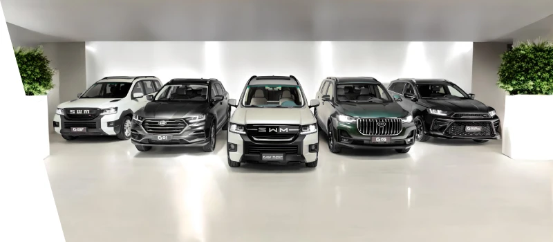 все модели SWM